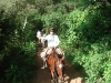 En los montes